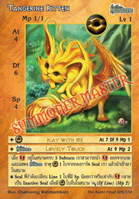 Tangerine Kitten