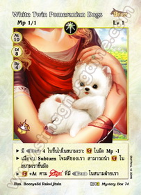 White Twin Pomeranian Dog