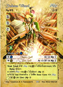 Fudenun Wizard