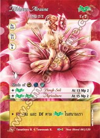 Hibiscus Alraune