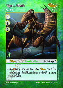 Tiger Mantis