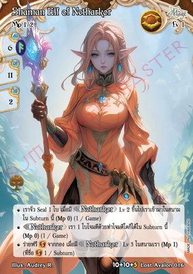 Shaman Elf of Netharkor