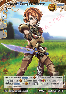 Garion, the Young Elf Warrior
